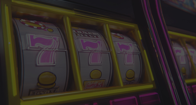 casushi casino